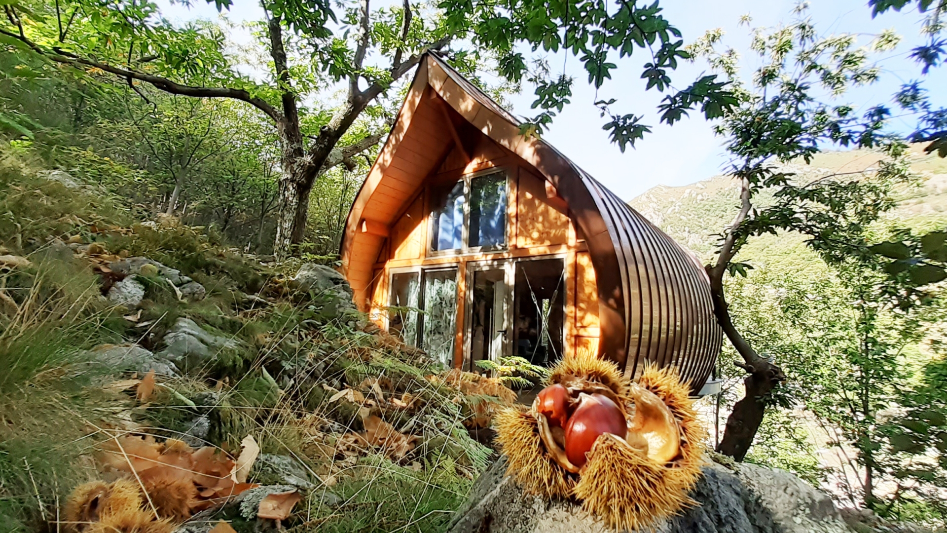 Les Cabanes du Loup Bleu