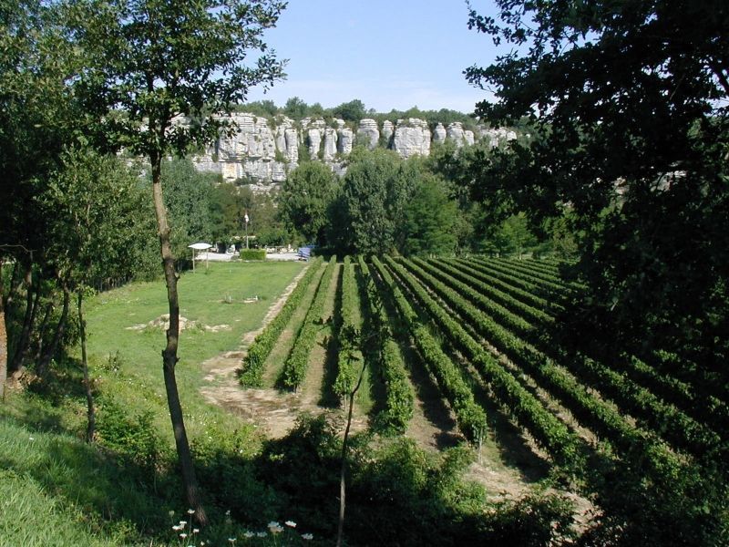 Camping de la Falaise