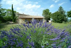 Gîtes du Mas de Baraud - Mas de Fournery