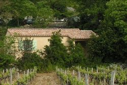 Gites les Micocouliers