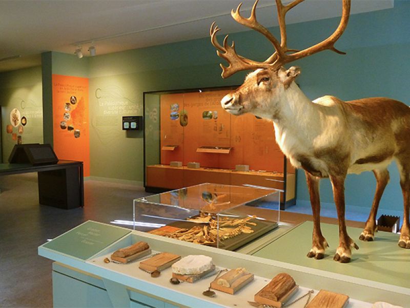 Cité de la Préhistoire