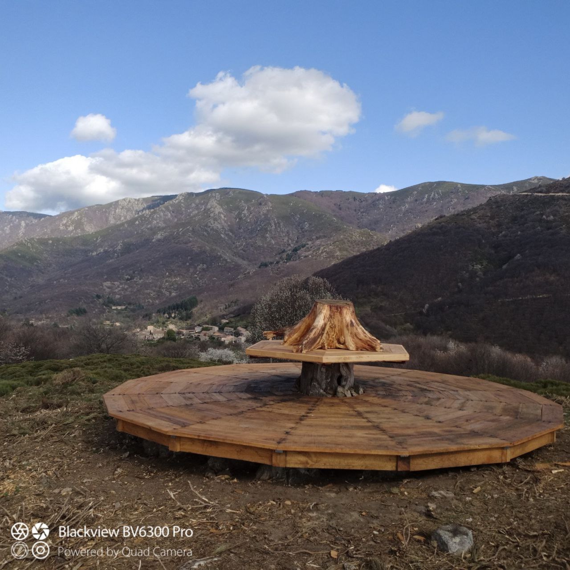 Marron Châtaigne EARL